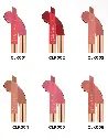 CHARACTER POUT PAT CLK-