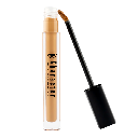 Character HD Coverage Concealer 004