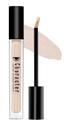 Character HD Coverage Concealer 013
