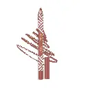 Perfect Lip Liner 206