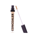 Coverup Concealer 10.2